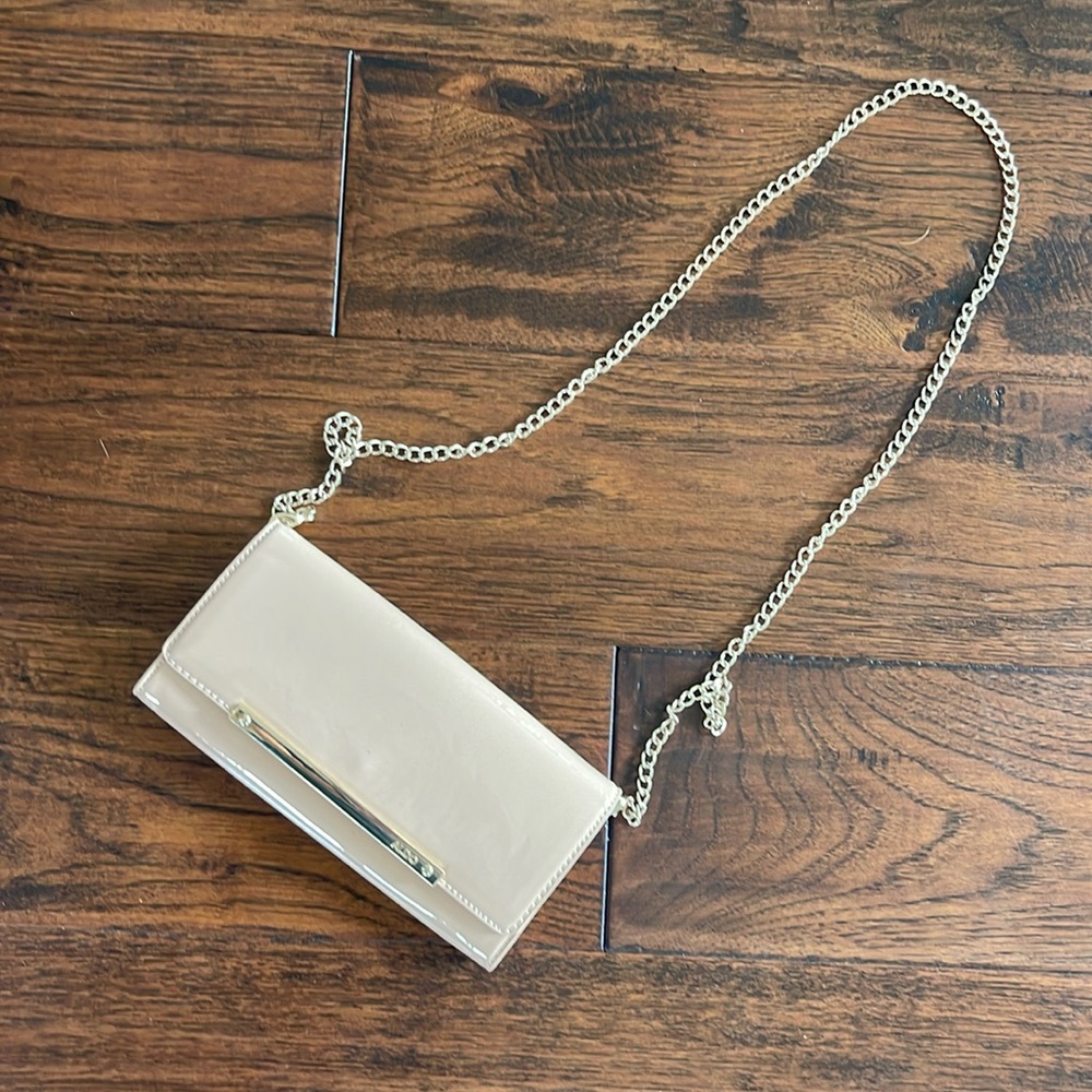 ALDO clutch purse